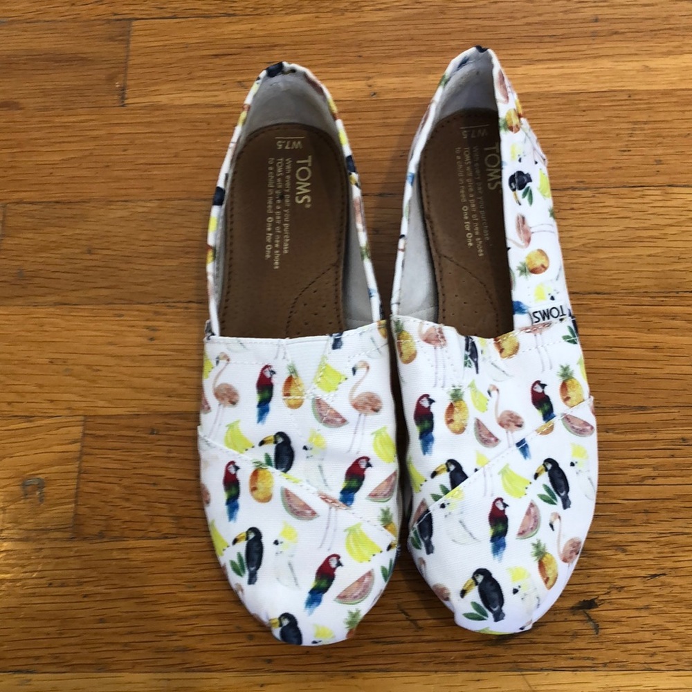Bird Toms